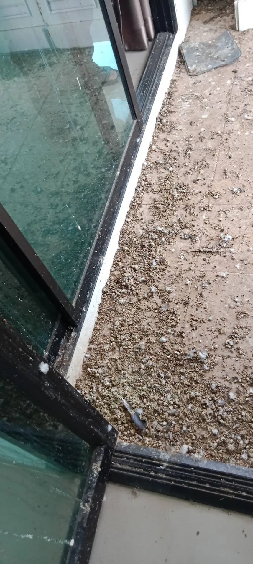 Condo balcony before bird net installation - covered in bird droppings