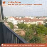 ติดตั้งตาข่ายกันนก อาคารพาณิชย์ ขอนแก่น