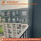 มาตรฐานความปลอดภัย Birds Go Away
