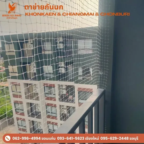 ทีมงาน Birds Go Away
