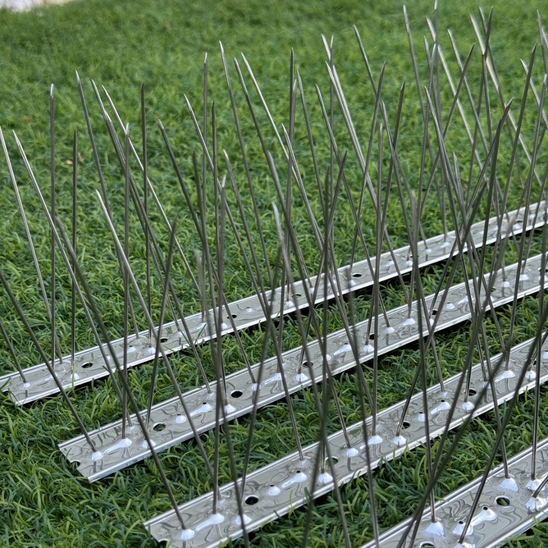 Stainless Steel Bird Spikes