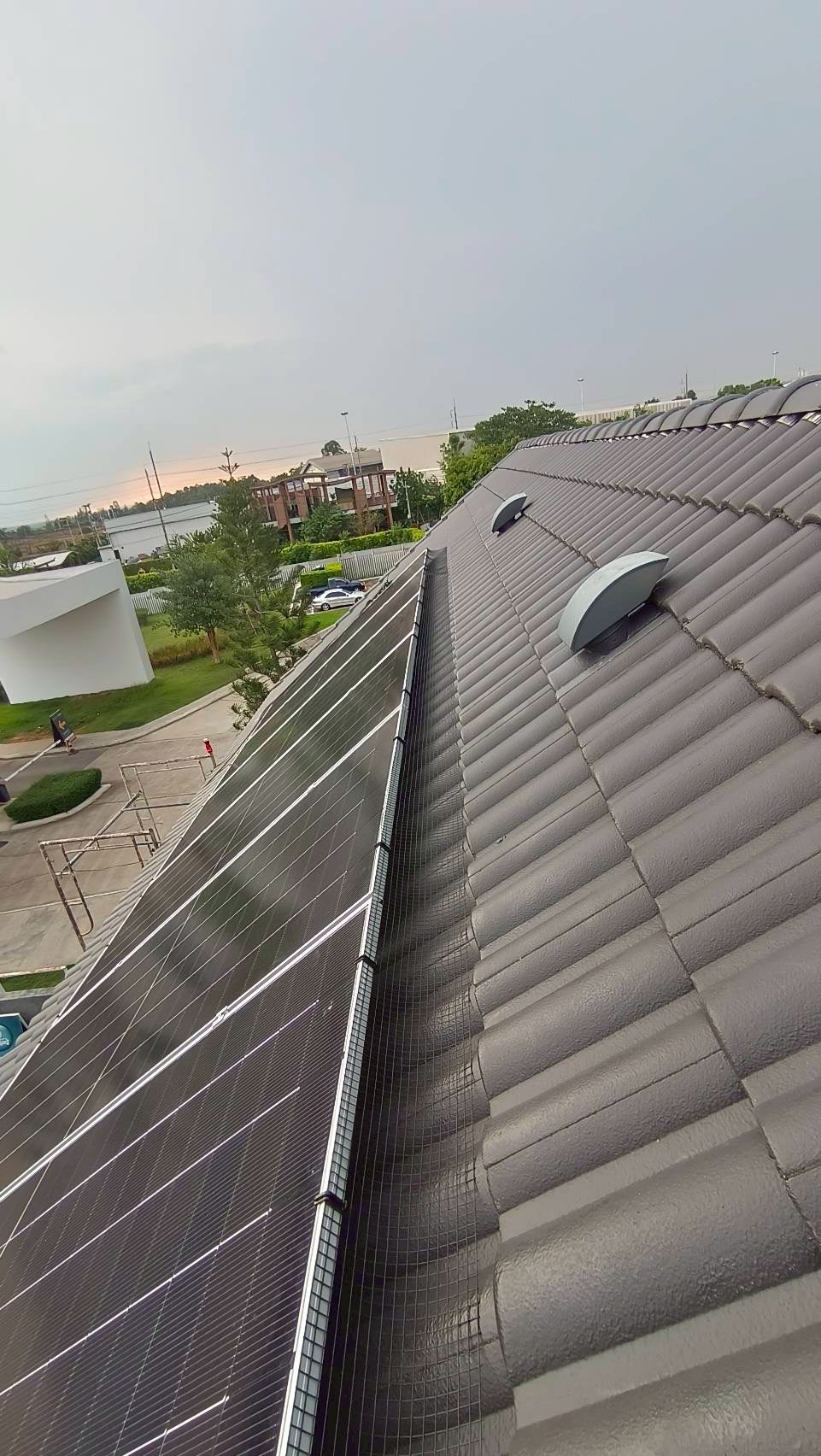 Solar Panel Bird Net